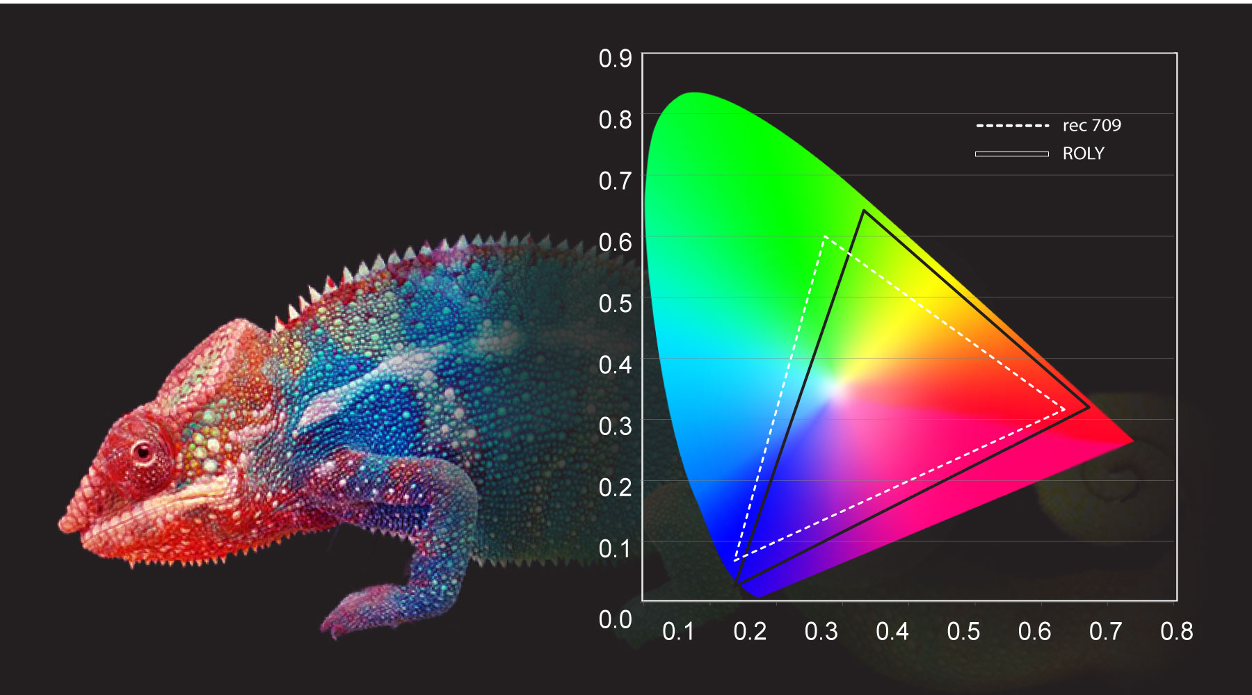 ROLY Chameleon Color Richness Technology